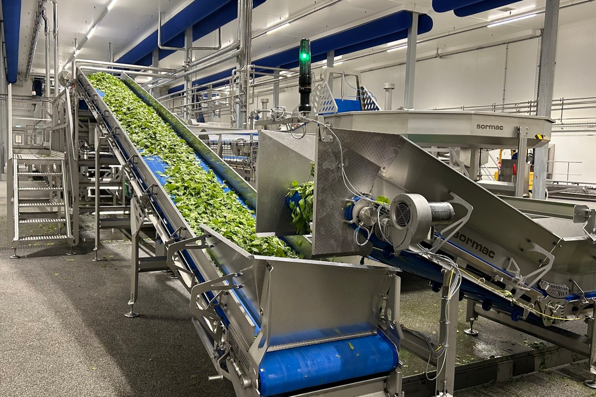Geautomatiseerde productielijn voor de verwerking van verse bladgroenten in de fabriek van Hessing in Venlo, met transportbanden, doseersysteem en industriële installaties.