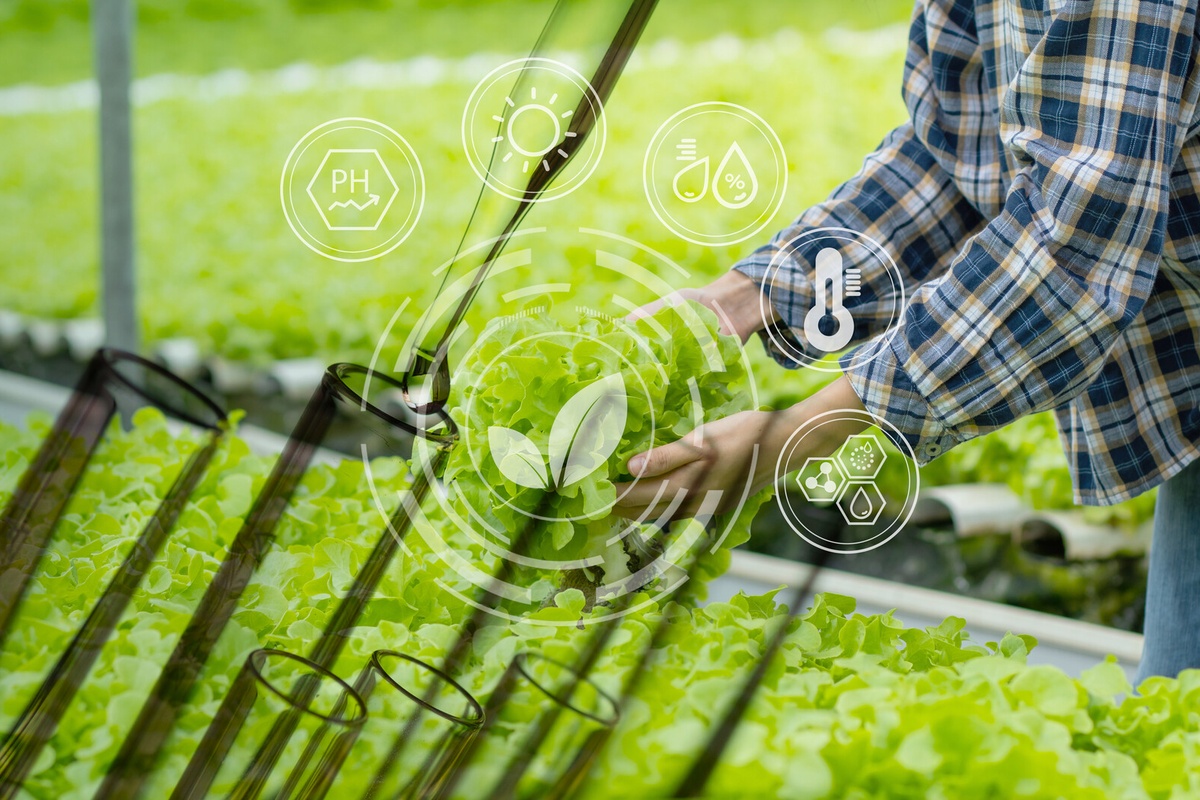 Visual duurzaamheid &amp; circulariteit in de AGF-sector. Actemium in Nederland.
