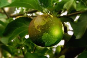 Groene wereldbol als symbool voor duurzaamheid, milieu-impact en verantwoorde productie in de voedingsindustrie. Actemium in Nederland.