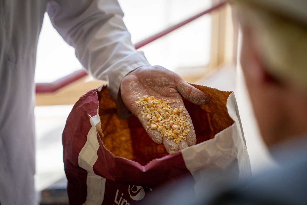 nspectie van grondstoffen binnen een foodproductieomgeving ondersteund door industriële automatisering van Actemium Eindhoven.
