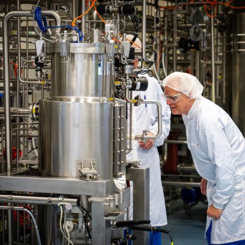 Actemium implementeert PCS 7 automatisering voor MSD Animal Health in de life sciences en farmaceutische industrie