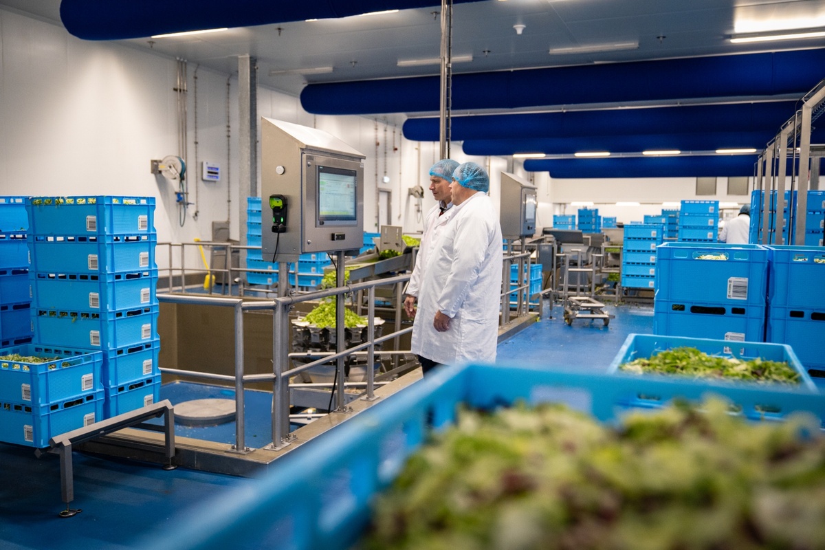 MES borgt totale traceability en korte doorlooptijden in nieuwe VersFabriek Hessing