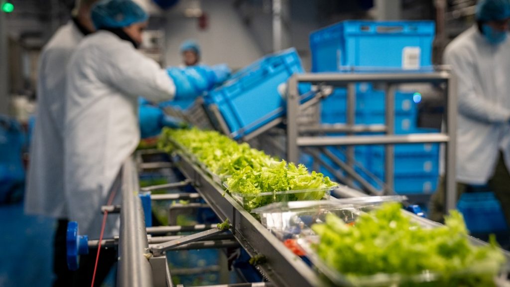 MES borgt totale traceability en korte doorlooptijden in nieuwe VersFabriek Hessing