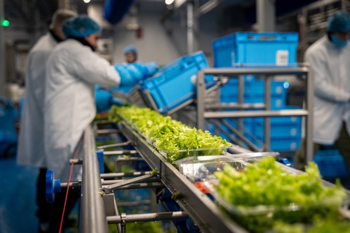 MES borgt totale traceability en korte doorlooptijden in nieuwe VersFabriek Hessing