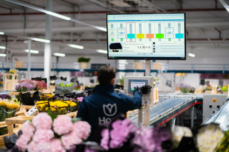 Hoek Group mechaniseert en integreert logistieke processen met WMS/WCS
