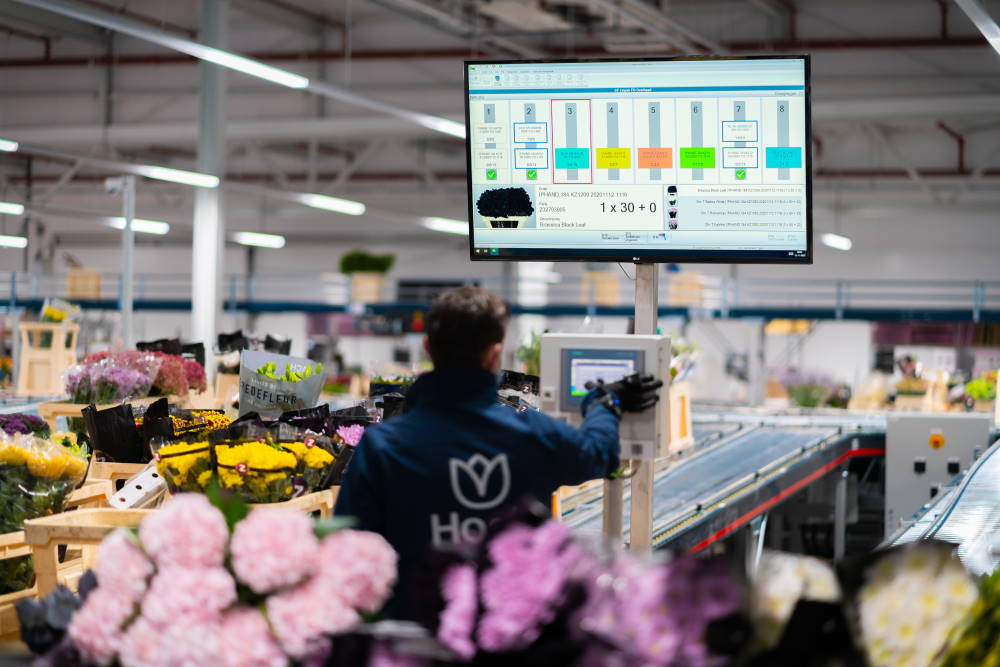 Hoek Group mechaniseert en integreert logistieke processen met WMS/WCS