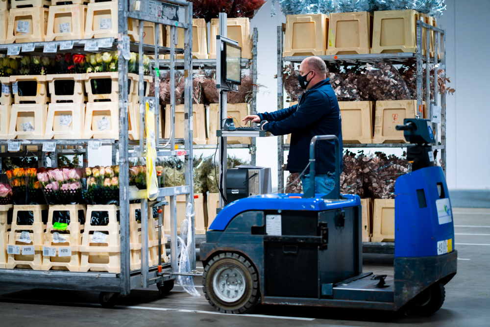 Hoek Group mechaniseert en integreert logistieke processen met WMS/WCS
