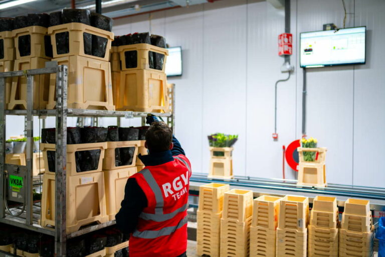 Hoek Group mechaniseert en integreert logistieke processen met WMS/WCS