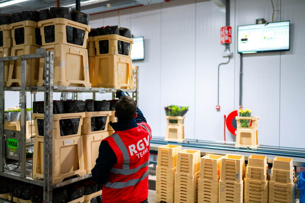 Hoek Group mechaniseert en integreert logistieke processen met WMS/WCS