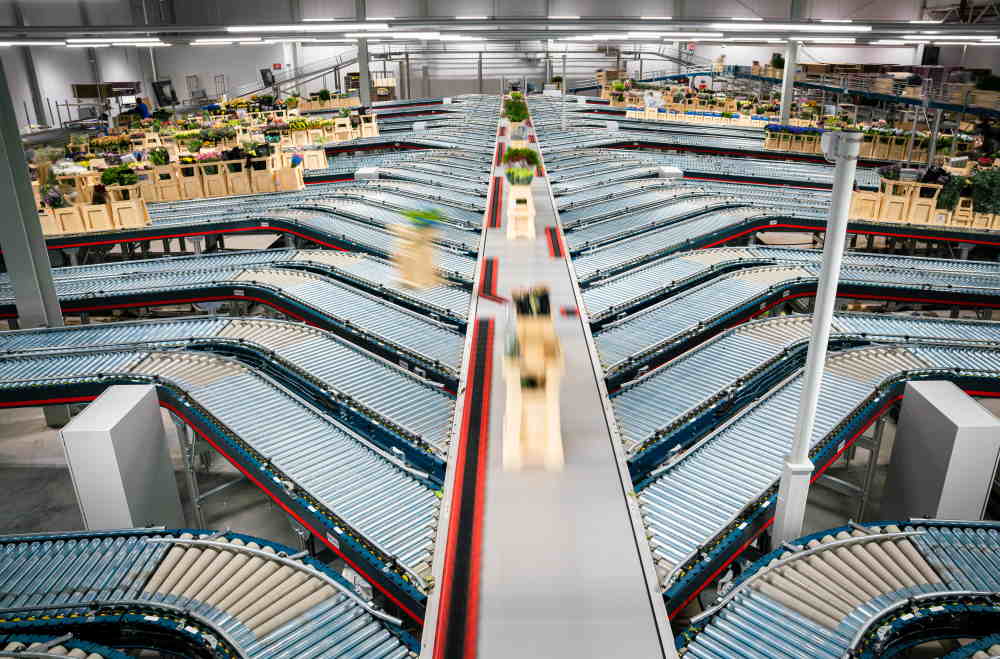 Hoek Group mechaniseert en integreert logistieke processen met WMS/WCS